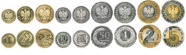Фото 7. Монеты – гривны и злотые