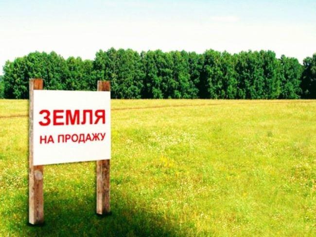 Изображение - Могу ли я получить земельный участок и региональный капитал Zemlya-na-materinskiy-kapital