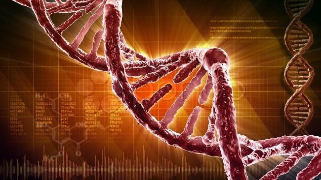 Сколько стоит тест ДНК – своеобразный чертеж жизни, сложный код, в котором заключены данные о наследственной информации