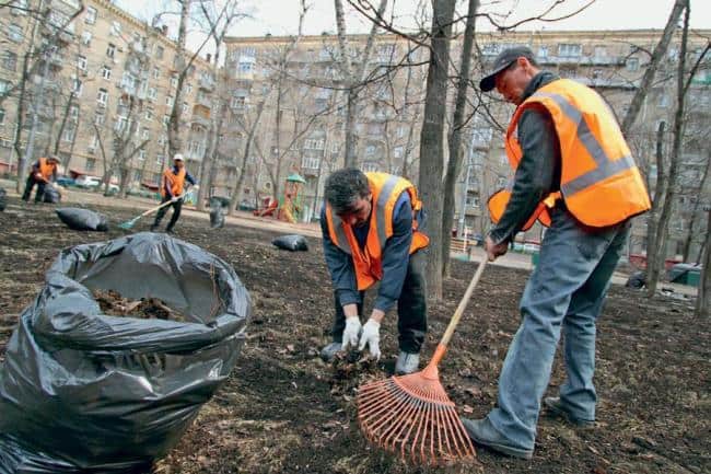 Зарплата дворника в москве в 2023 году