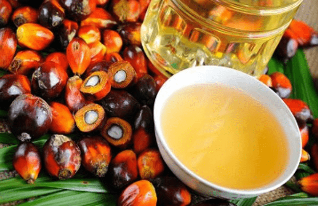 Рисунок 4. Пальмовое масло и плоды, из которых оно добывается