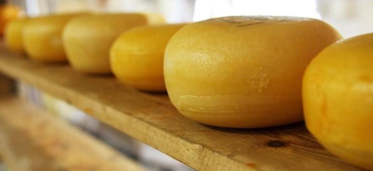 Как отличить сырный продукта от сыра: советы эксперта